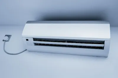 Alaska - Paszczyński Rafał